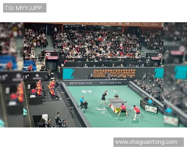 成都乒乓球队个人能力深度对比分析及发展潜力探讨