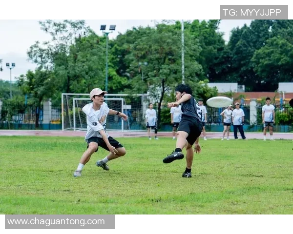 深圳飞盘队实力分析与表现评估探讨