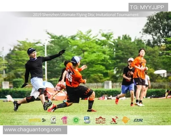 飞盘竞技的魅力：深入解析深圳飞盘队的战术与技巧